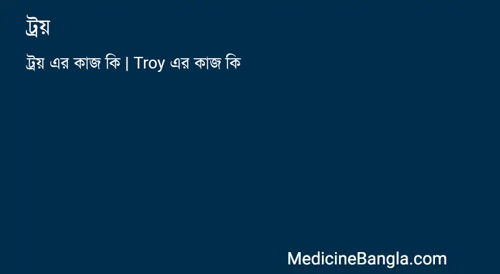 ট্রয় এর কাজ ট্রয় in Bangla