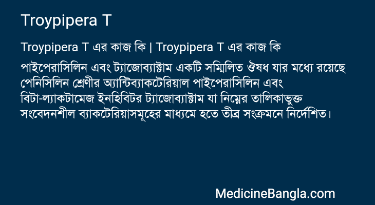 Troypipera T in Bangla