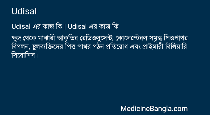 Udisal এর কাজ Udisal in Bangla