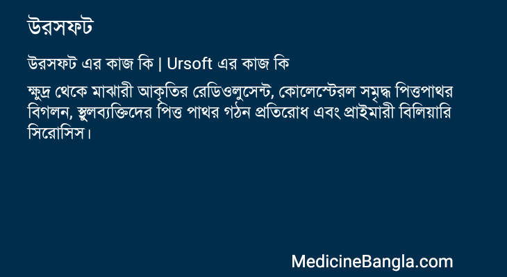 উরসফট এর কাজ উরসফট in Bangla