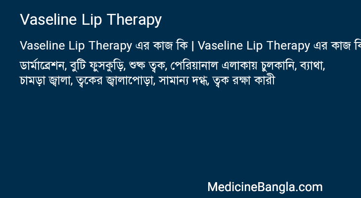 Vaseline Lip Therapy এর কাজ Vaseline Lip Therapy in Bangla