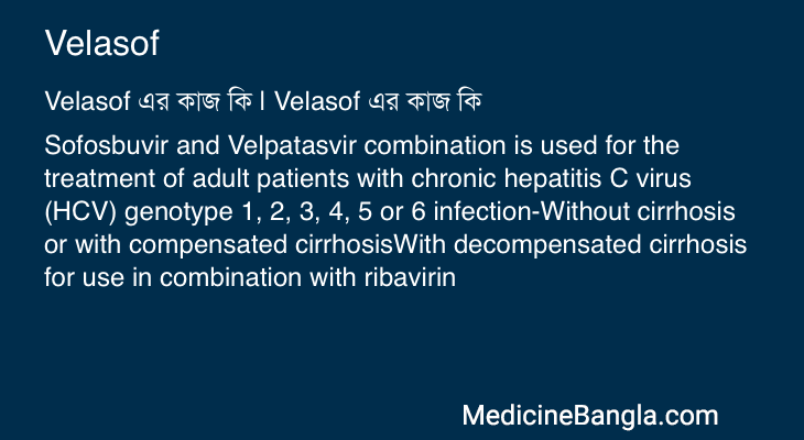 Velasof এর কাজ Velasof in Bangla