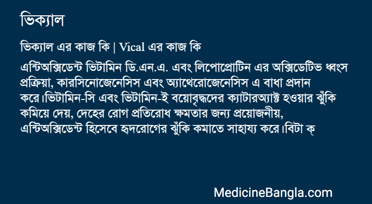 ভিক্যাল এর কাজ ভিক্যাল in Bangla