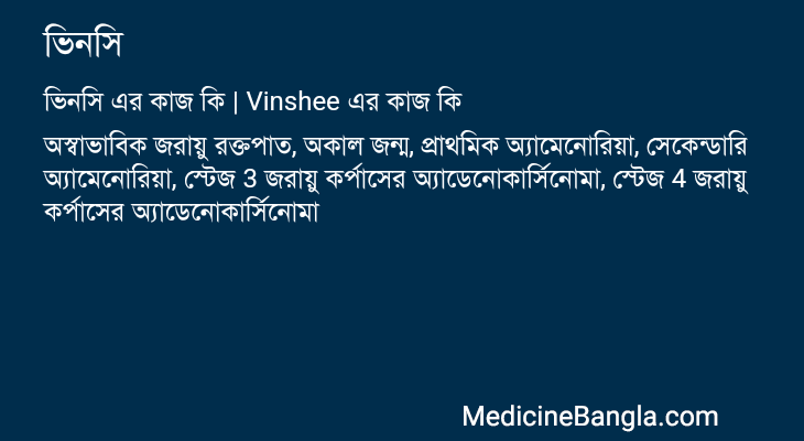 ভিনসি এর কাজ ভিনসি in Bangla