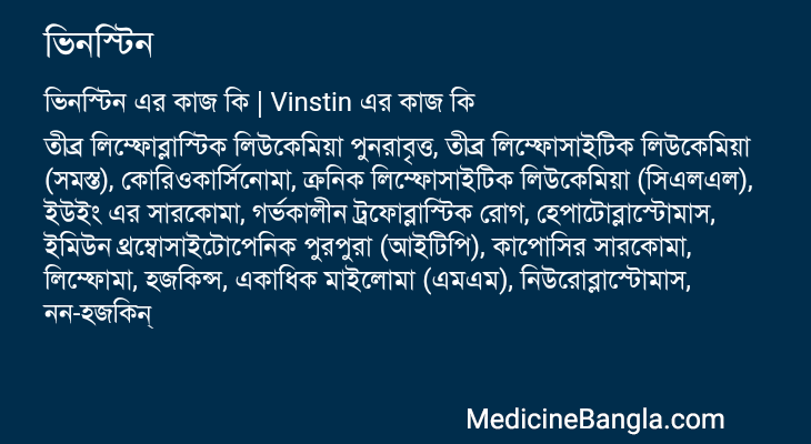 ভিনস্টিন এর কাজ ভিনস্টিন in Bangla