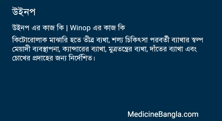 উইনপ এর কাজ উইনপ in Bangla