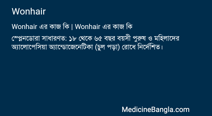 Wonhair এর কাজ Wonhair in Bangla