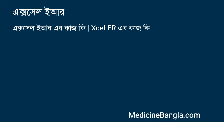 এক্সসেল ইআর এর কাজ এক্সসেল ইআর in Bangla