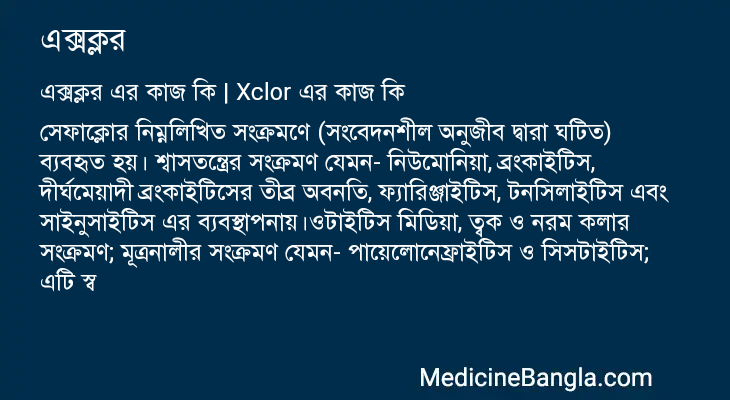 এক্সক্লর এর কাজ এক্সক্লর in Bangla