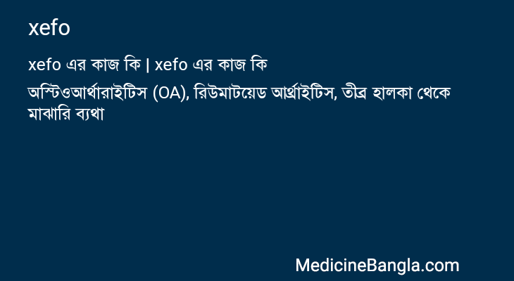 xefo এর কাজ xefo in Bangla