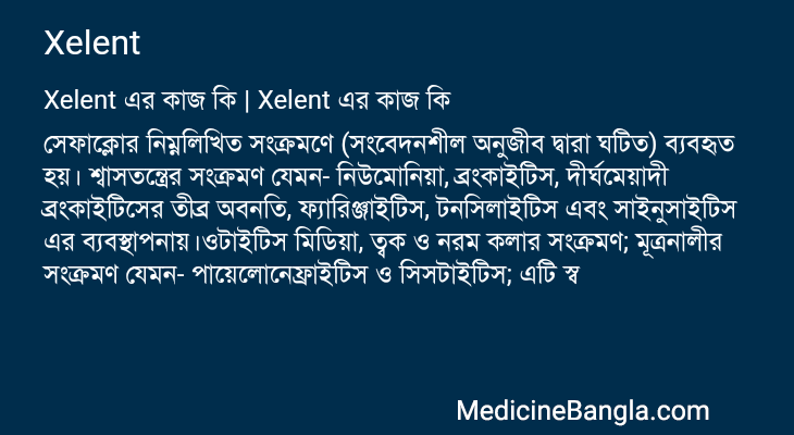 Xelent in Bangla