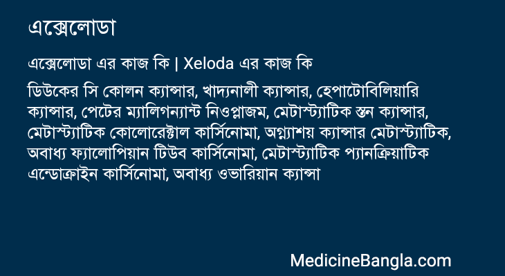 এক্সেলোডা এর কাজ এক্সেলোডা in Bangla