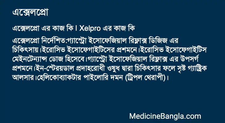 এক্সেলপ্রো এর কাজ এক্সেলপ্রো in Bangla