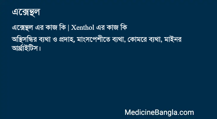 এক্সেন্থল এর কাজ এক্সেন্থল in Bangla