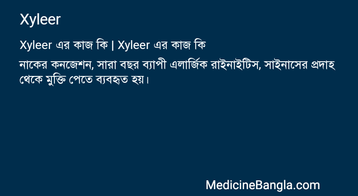 Xyleer এর কাজ Xyleer in Bangla