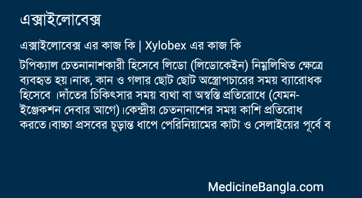 এক্সাইলোবেক্স এর কাজ এক্সাইলোবেক্স in Bangla
