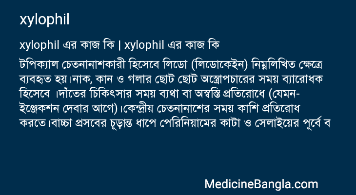xylophil এর কাজ xylophil in Bangla
