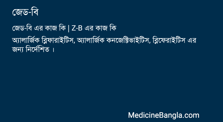 জেড-বি এর কাজ জেড-বি in Bangla