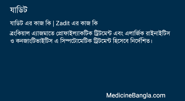 যাডিট এর কাজ যাডিট in Bangla