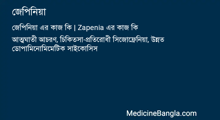 জেপিনিয়া এর কাজ জেপিনিয়া in Bangla