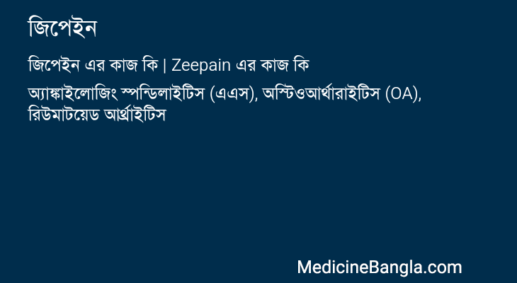 জিপেইন এর কাজ জিপেইন in Bangla