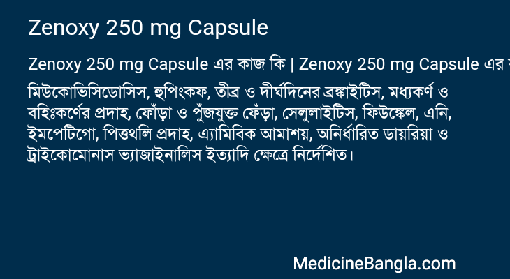Zenoxy 250 mg Capsule in Bangla