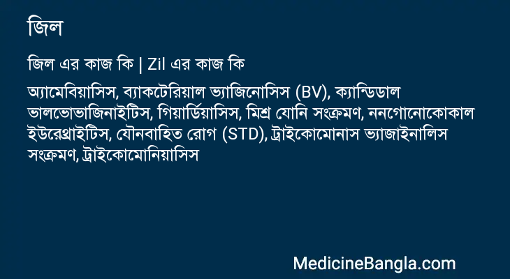 জিল এর কাজ জিল in Bangla