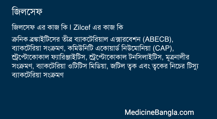 জিলসেফ এর কাজ জিলসেফ in Bangla
