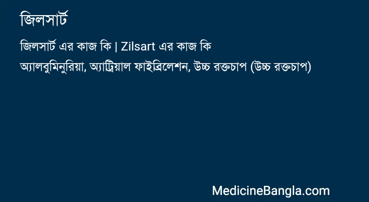 জিলসার্ট এর কাজ জিলসার্ট in Bangla