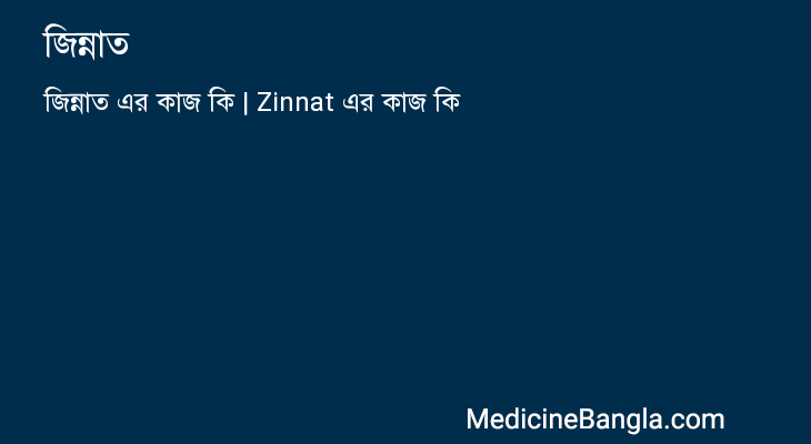 জিন্নাত এর কাজ জিন্নাত in Bangla