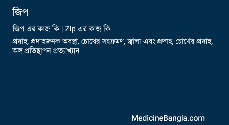 জিপ এর কাজ জিপ in Bangla