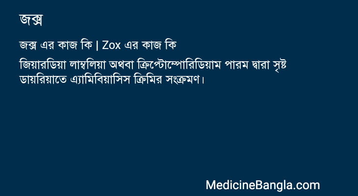জক্স এর কাজ জক্স in Bangla