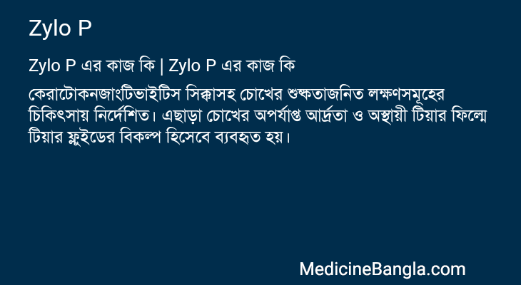 Zylo P এর কাজ Zylo P in Bangla