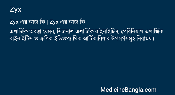 Zyx এর কাজ Zyx in Bangla